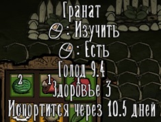 DisplayFoodValues-Скриншот4.jpg