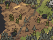 Reeds icons