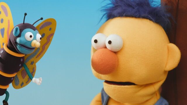 File:DHMIS Butterfly.jpg