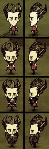 Plik:Beards.jpg