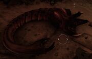 Parasite2
