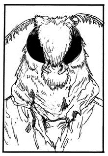 Dokuga'sMothMask