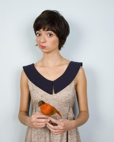 File:Micucci.jpg