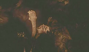 Scylla.png