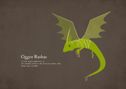 Oggez Rashas