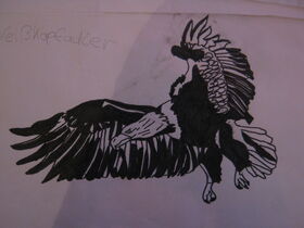 IMG 0632 (2)
