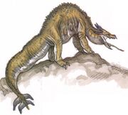 Canyon Krayt Drache