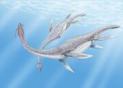 Plesiosaurus 3DB-1-.jpg