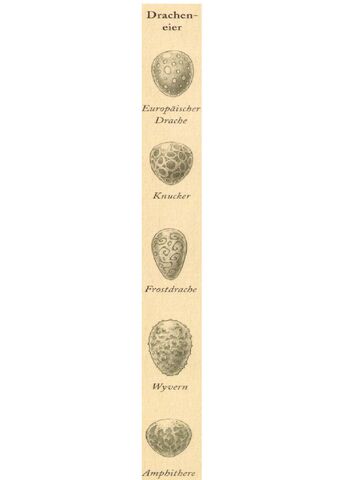Datei:Drachenei.jpg