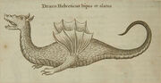 DracoHelveticusBipesEtAlatus.jpg
