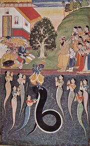Krishna.jpg