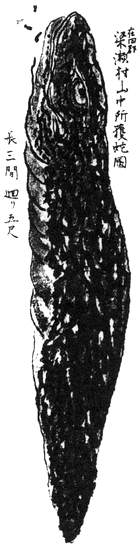 Suizan Nozuchi.jpg