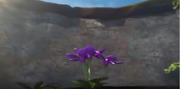 Lilaner Oleander.png
