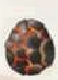 Egg vulcanicp.png