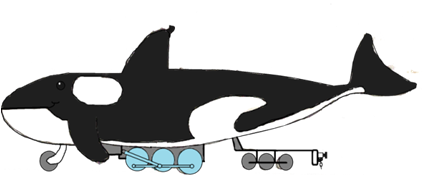 Willy