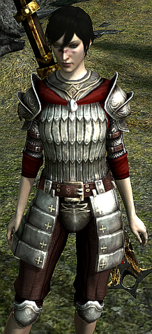 File:Flint Company Cuirass.png