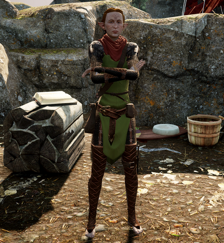 File:Nissa-Dalish-Camp.png