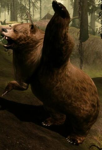File:Creature-Bear.jpg