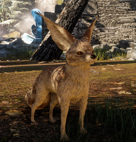 File:Fennec-0.png