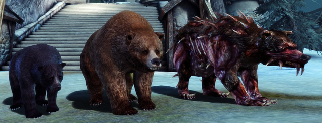File:Bear Essentials.png