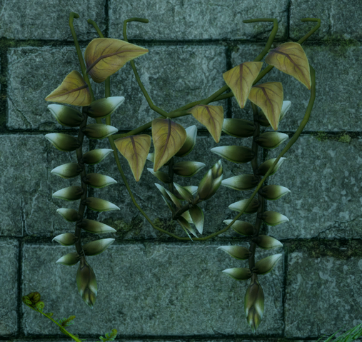 File:Arbor Blessing.png