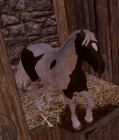 File:Dalish All-Bred.png