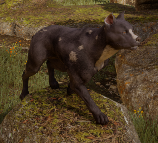 File:Brown mabari - inquisition.png