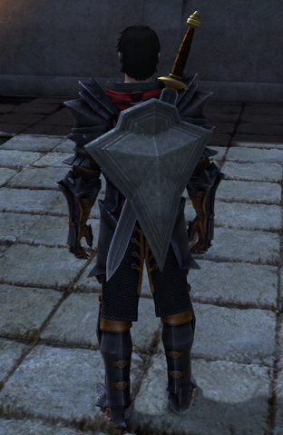 File:Shield of the Resolute.png