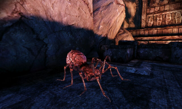File:Spider shape.jpg