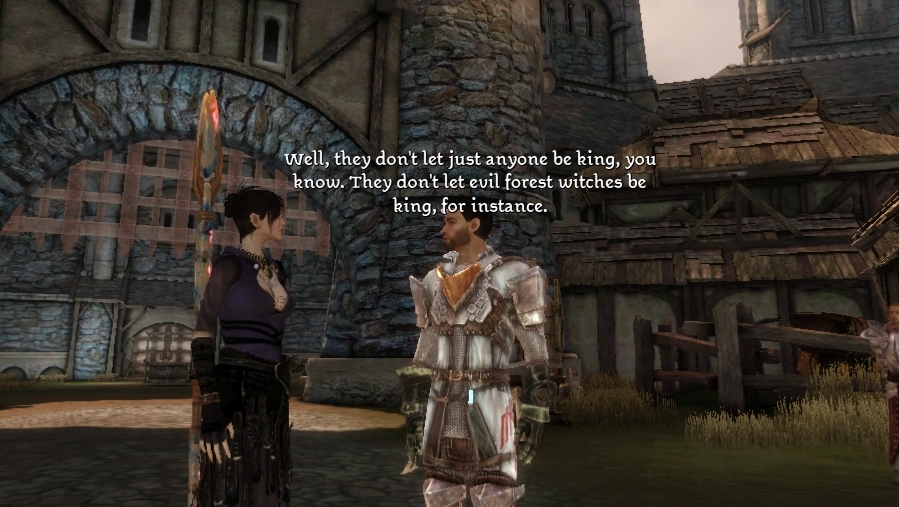 Image result for dragon age origins party banter