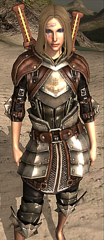 File:Mercenary's Reinforced Plate.png
