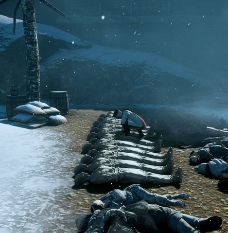 File:Bodies.png