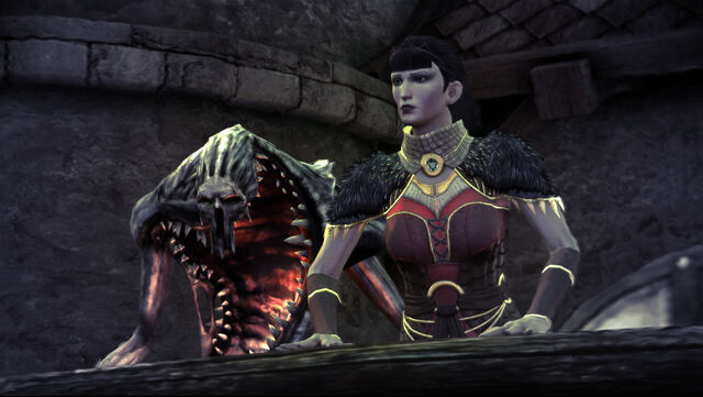 File:Baroness and Guard.jpg