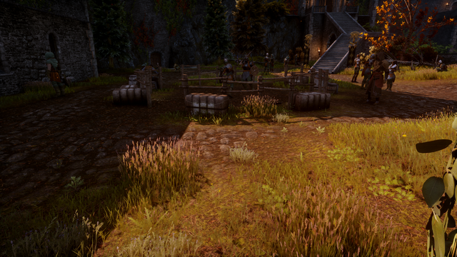 File:Skyhold Sparring Ring.png