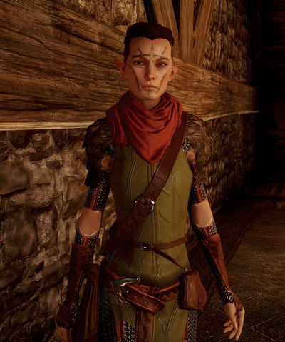 File:AssassinTrainer-Heir.png
