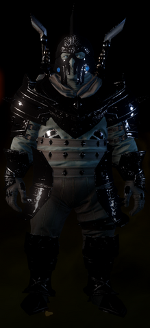 File:Stone Stalker Coat Image.png