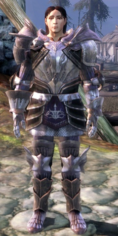 File:ChevalierArmorSetTier3.png
