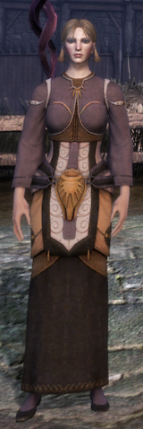 File:Lorekeeper's Robe (Awakening).png