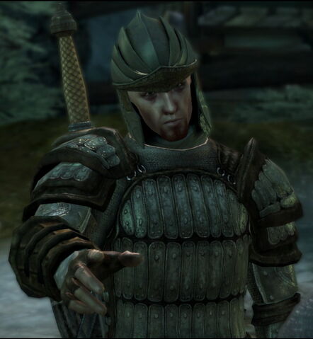 File:NPC-Haven Guard.jpg
