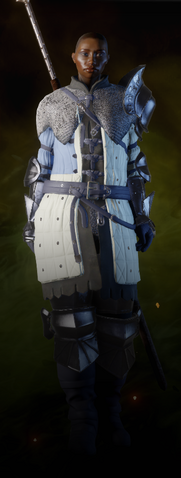 File:Griffon Robes Schematic-Vivienne.png