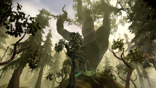 File:Area-Brecilian Forest.jpg