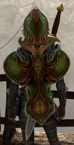 File:Ironwood Shield.png