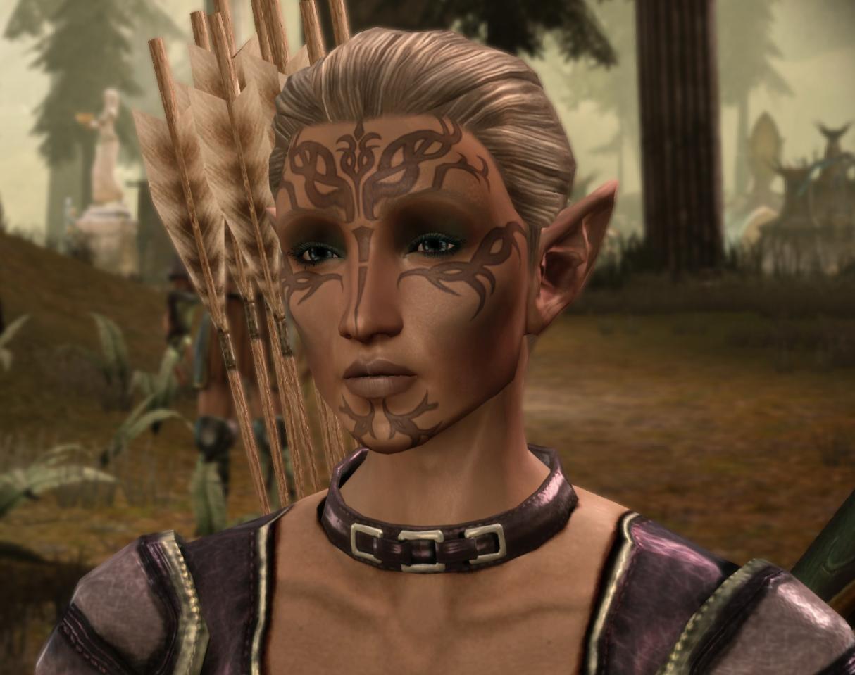 dragon age origins dalish elf dragon age origins dalish elf