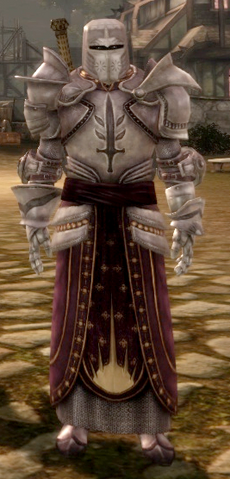 File:TemplarArmor.png