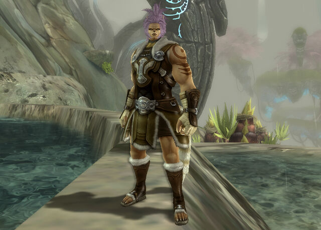 File:ShamanTrainingArmor.jpg