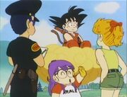 Gokumeetsaralesfriends.jpg