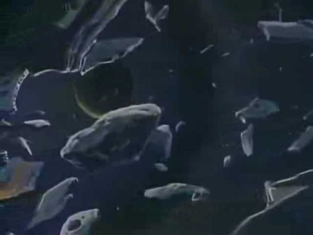 File:DarkPlanet.png