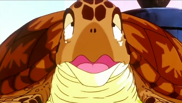 File:TurtleCrying.Ep.117.png