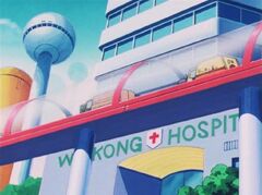 Wukong-hospital
