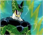 Cell Tomi.jpg